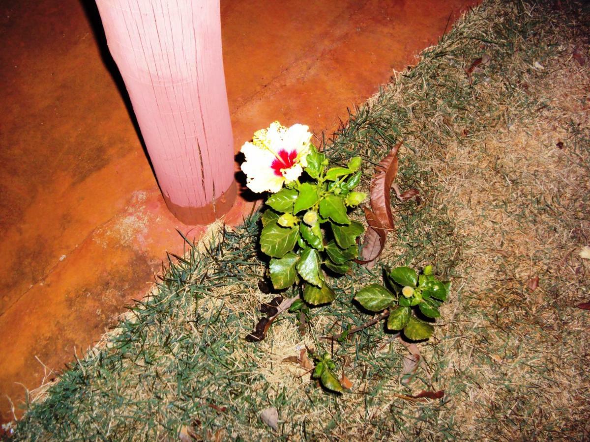 Sitio Sao Benedito Sao Roque de Minas Exterior photo